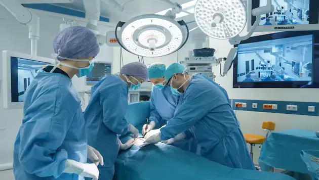 España encadena 33 años como líder mundial en trasplante de órganos